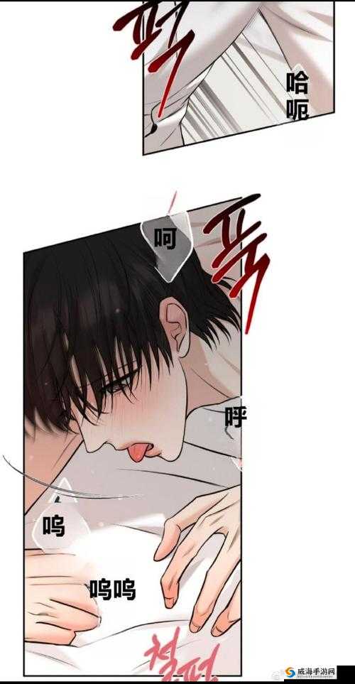 你想知道在哪里可以找到樱花漫画的官方正版入口吗？