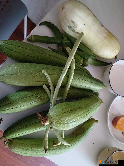当向日葵、草莓、秋葵、黄瓜、荔枝和丝瓜碰撞在一起会发生什么？