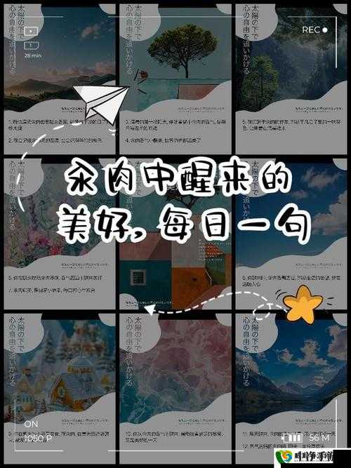 每天在汆肉中醒来:探索传统美食的魅力与健康生活的平衡之道