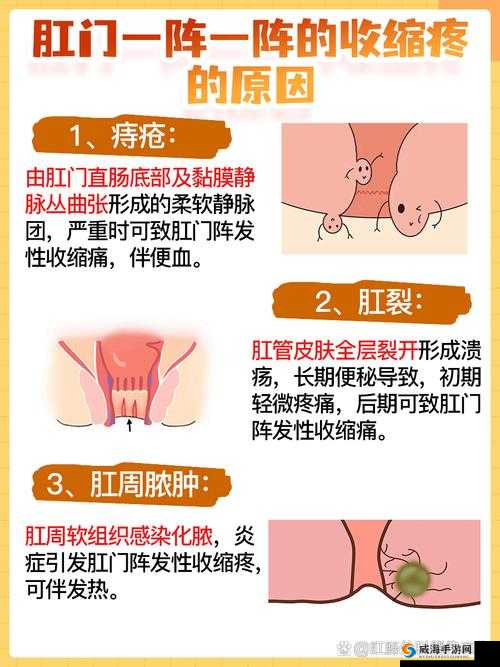 一阵一阵收缩怎么回事啊？探秘身体出现这种情况的原因与应对方法