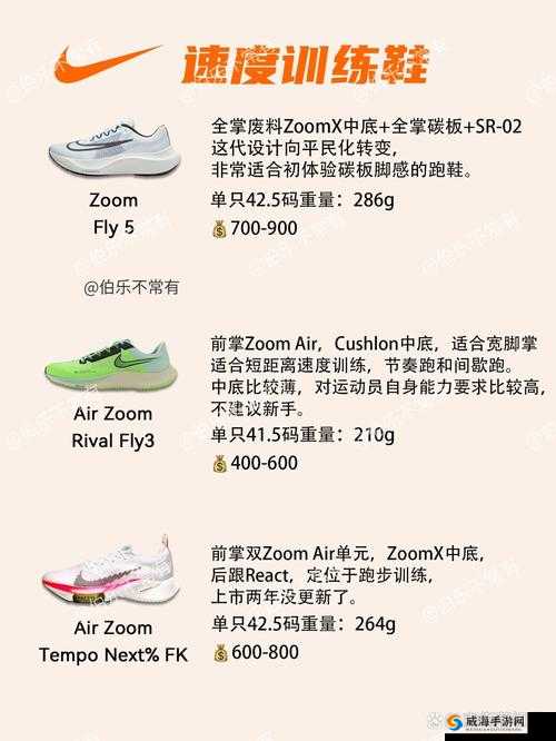 日本 Zoom 与国产 Zoom 有何不同？哪个更适合你？
