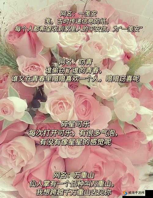 baoyu1119 最新网名究竟是什么？探秘其背后的独特含义与魅力