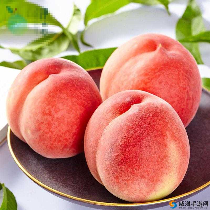 79国精产品水蜜桃hd高清画质体验：全球精选水蜜桃的视觉盛宴与品质享受