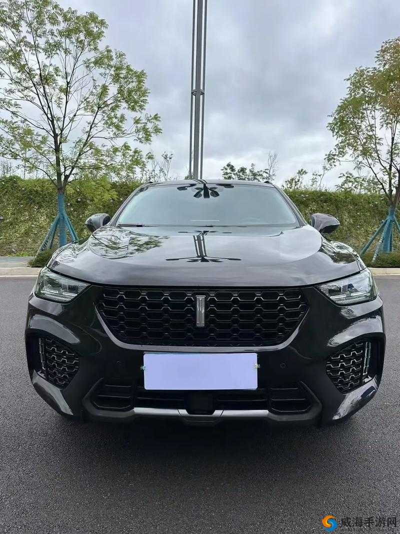 WEY VV5 国产 SUV 怎么样？它有哪些亮点和优势？快来一探究竟
