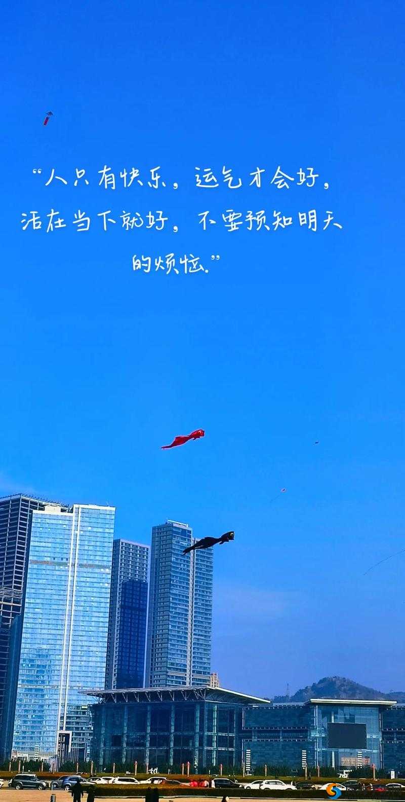 要做吗？现在？就在这里？要不要考虑一下根据当下网络比较认可的模式来生成呢？