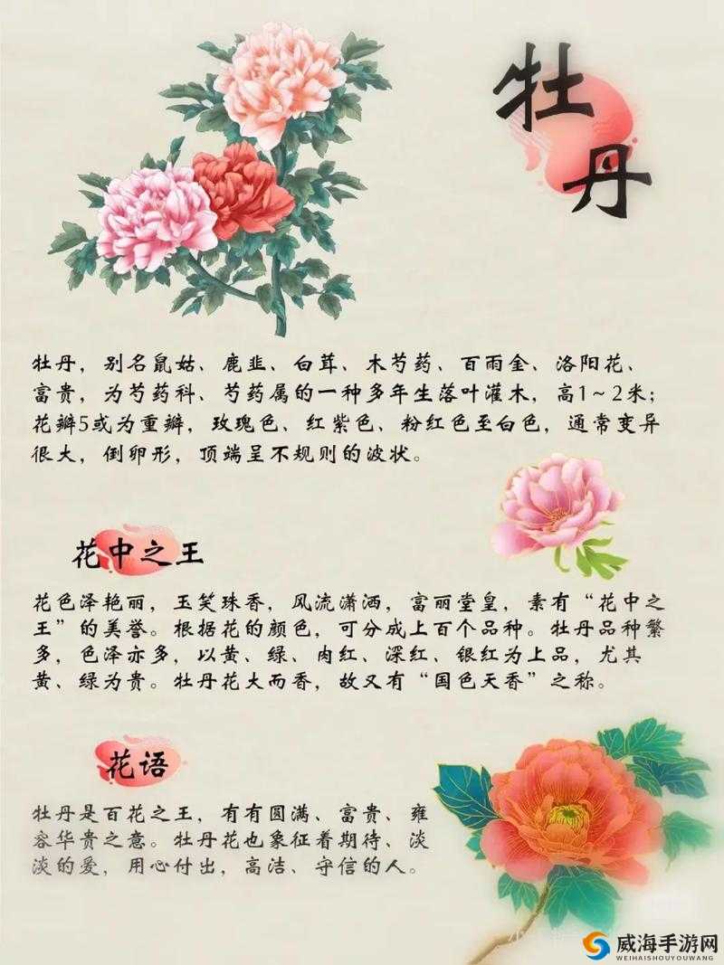 亭亭玉立的荷花和国色天香的牡丹，谁才是花中翘楚？二者大揭秘