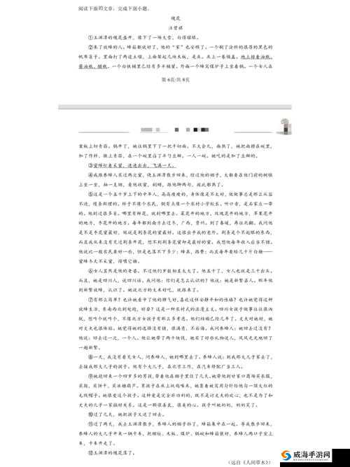 朝国年经的继3中文版：深度解析与完整阅读指南，助你全面理解经典之作