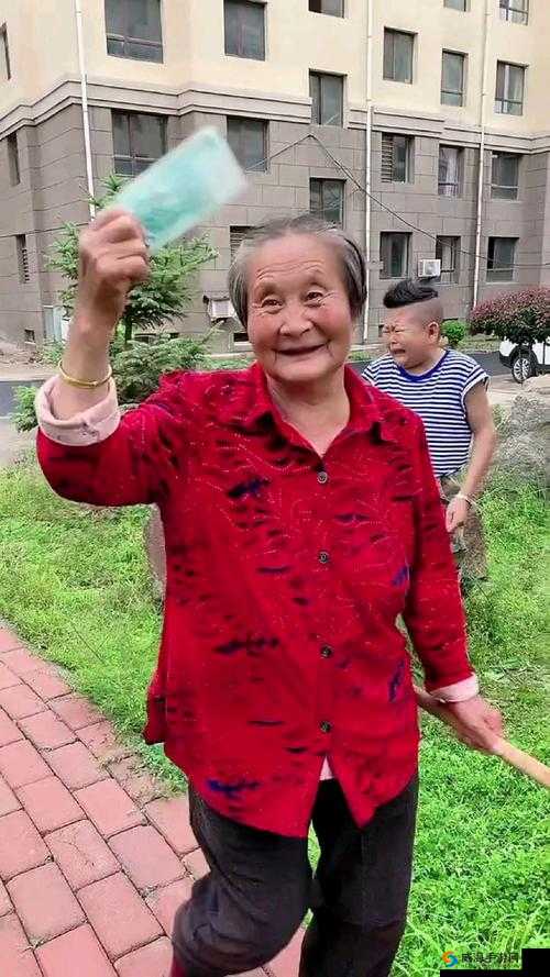 中国老太太 WBBHD 到底是什么？为何引起众人关注与好奇？