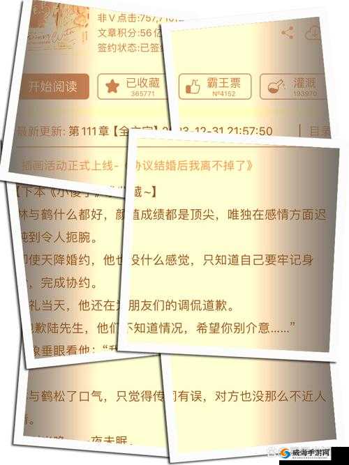 1V4双男主剧情解析：深度探讨角色关系与剧情发展，揭秘背后的情感纠葛与命运抉择