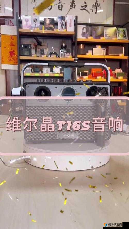 伊春园 2024 入口直达音响，震撼音效等你来体验