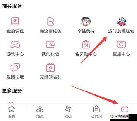 B 站大全永不收费 2024 入口究竟在哪里？快来一起寻找答案