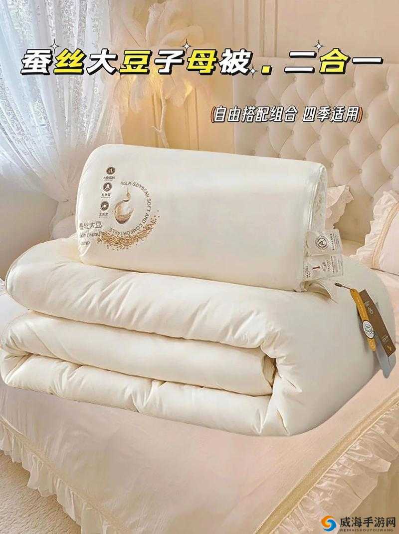 二合一子母被究竟有哪些好处?一文带你了解其独特优势与魅力