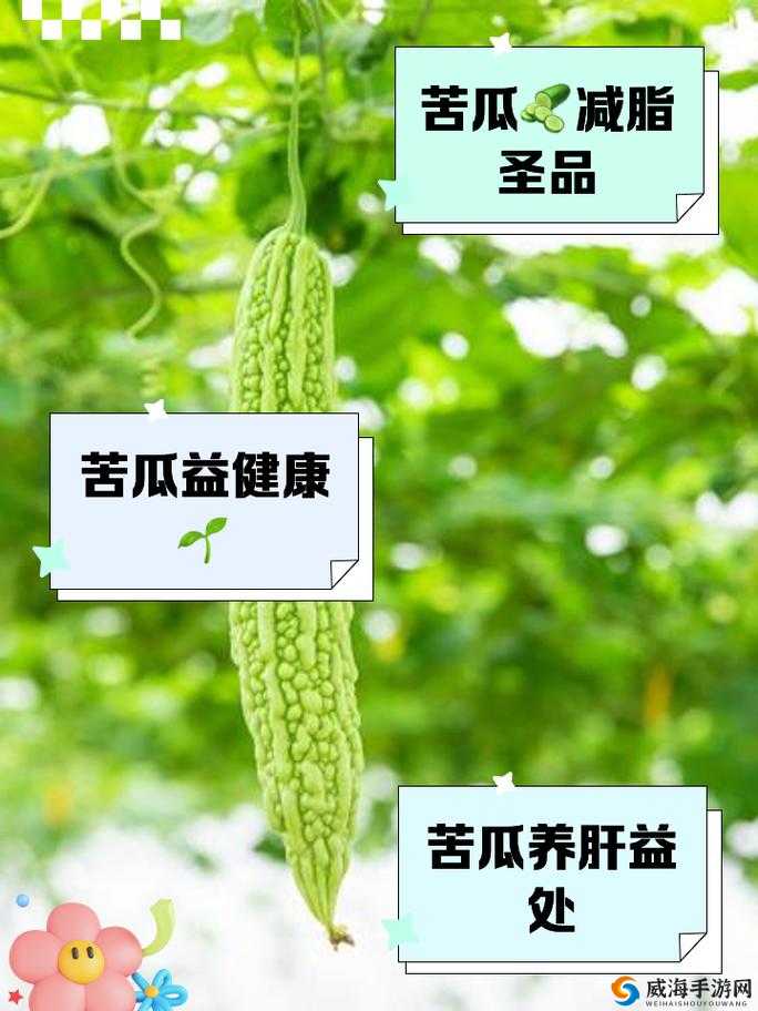 苦瓜网有哪些独特的内容呈现形式呢苦瓜网的资源特色及优势是什么呢苦瓜网为何能吸引众多用户关注呢