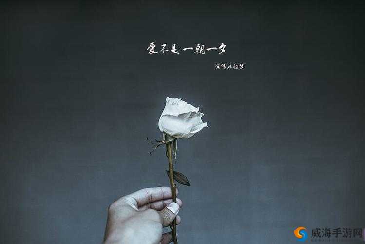 玩 3Q 的人后来都怎么样了？他们会后悔吗？真实情况大揭秘