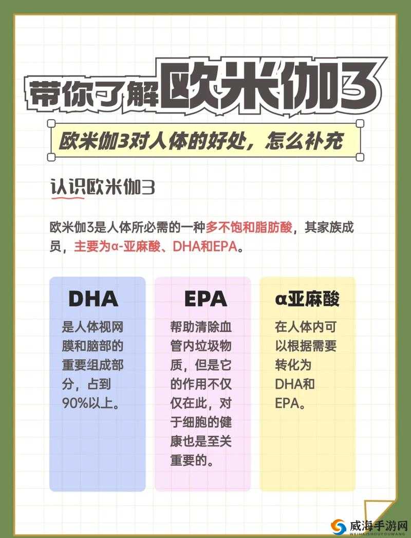 umakmantauzun、haya、uzun 到底是什么意思？它们有着怎样的关联与奥秘？