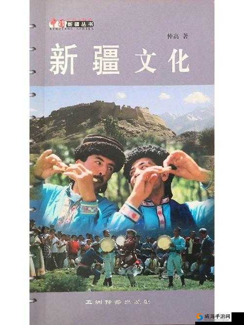 新疆 XXXXXL196：一场关于文化与认同的探讨