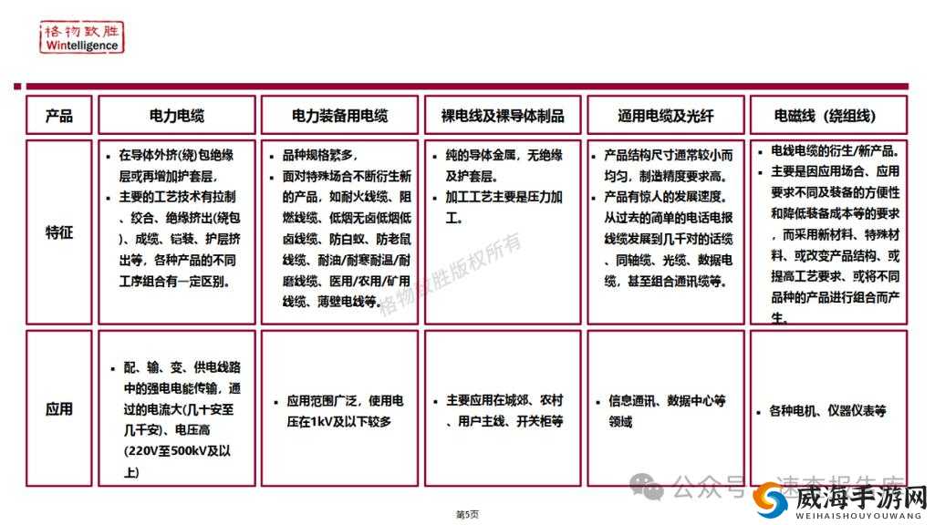 提问：理论电线 2024 到底有何独特之处及重要应用领域？