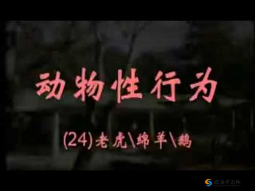 嘼交Ⅴideos极品：探索神秘动物行为的独特视角与高清记录