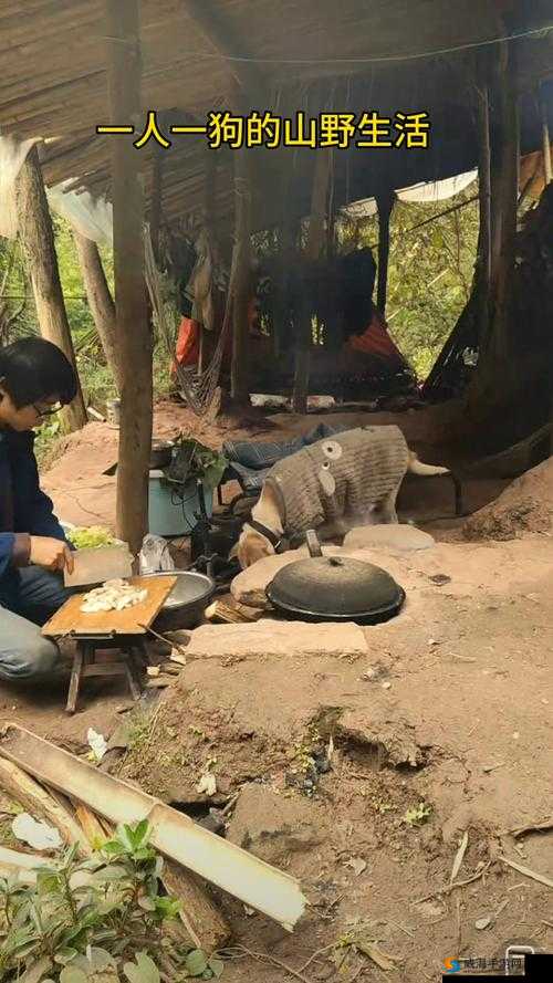 一人一狗卡住 6 小时，这到底要不要紧？引发全网关注与热议