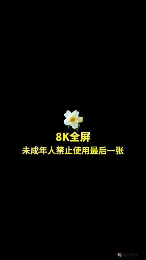 葵花宝典未满年龄确认请离开：未成年人禁止访问的重要提示与安全指南