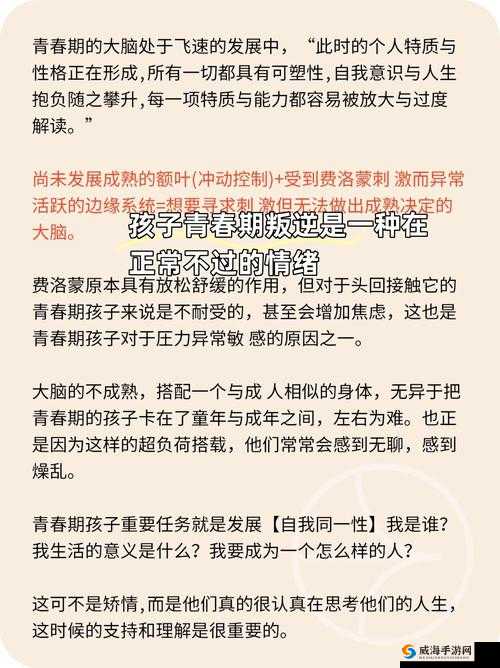 稚女的蜜x：揭秘青春期的甜蜜与困惑，家长必读的成长指南