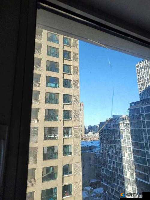 9 分 42 秒头撞玻璃是怎么回事？为何会出现这种惊人举动？深度解析