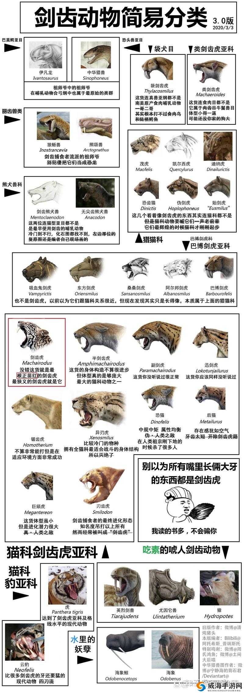 成吉思汗手机版剑齿虎深度解析，技能属性图鉴与误解揭秘