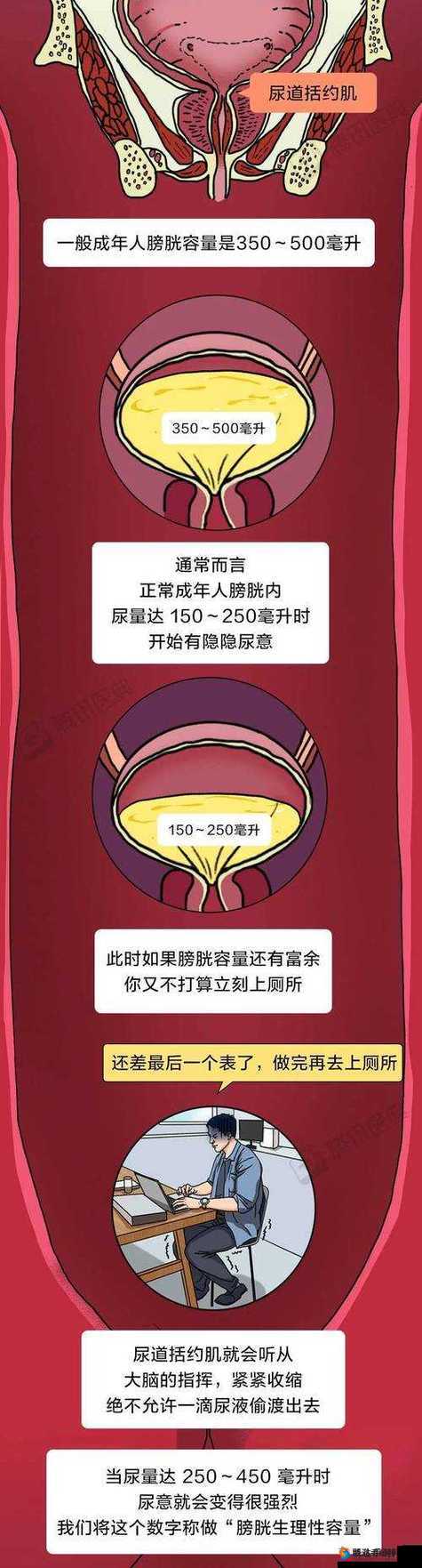 0 到 100 分憋尿规则大揭秘，附加刑究竟有哪些？快来一探究竟