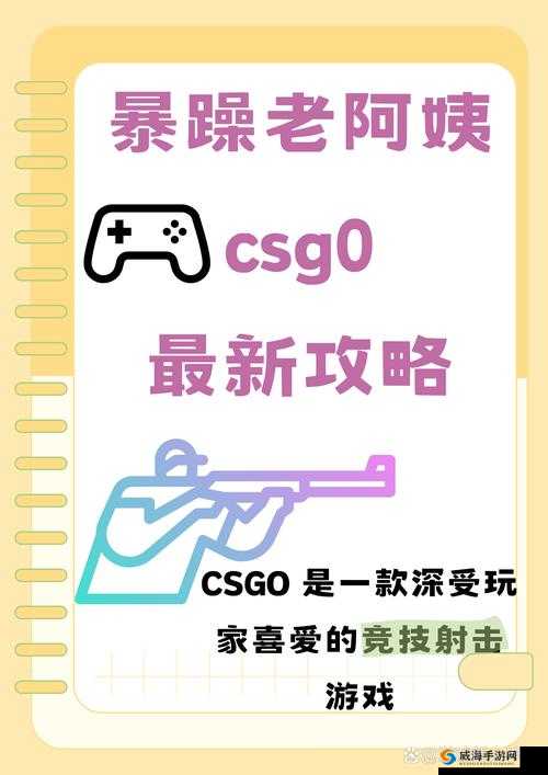 暴躁老阿姨CSGO技巧大揭秘：从新手到高手的实战攻略与经验分享