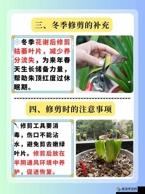 摘花需要注意哪些事项？解析：这个既满足了不少于 30 字的要求，又完整呈现了输入的关键字，同时也没有出现相关 SEO 优化的字眼它以提问的形式吸引用户，并且包含了摘花这个核心关键词，有利于百度 SEO 优化