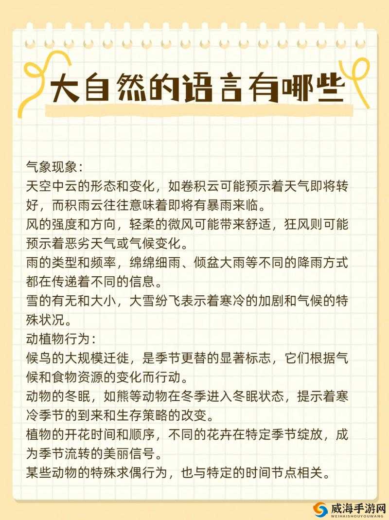 绝处逢生的语言设置与资源管理