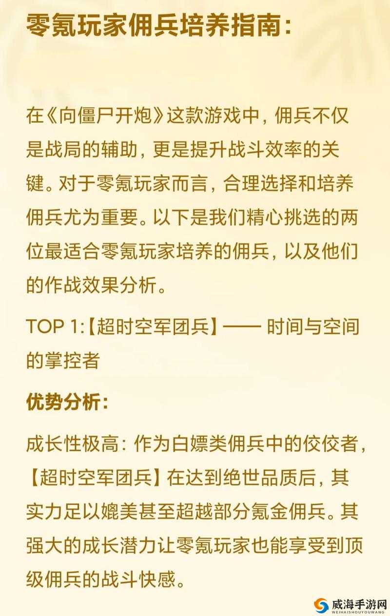 自由之战2佣兵实力的判定，深度解析与策略指南