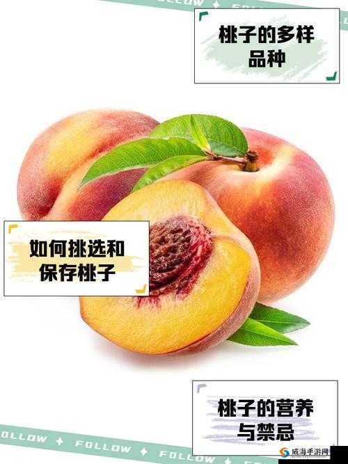 探索桃子移植调养女孩黄油的秘密：天然护肤新趋势与实用指南