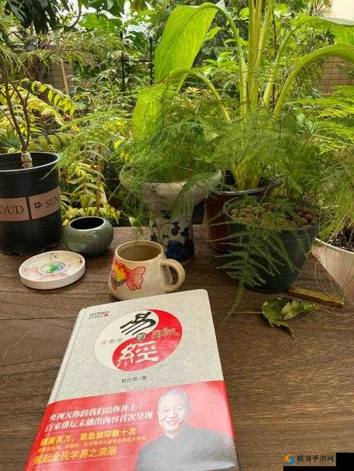91T 究竟是什么？带你深入了解 91T 的奥秘与独特之处