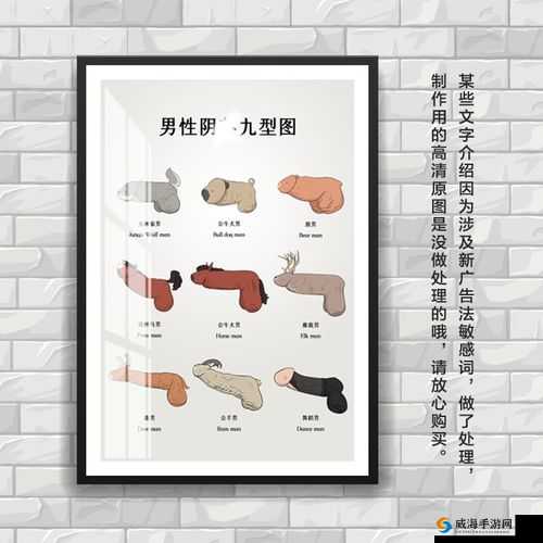 为什么性 BBwBBwBBwBBw 禽如此受欢迎?它有哪些独特之处?