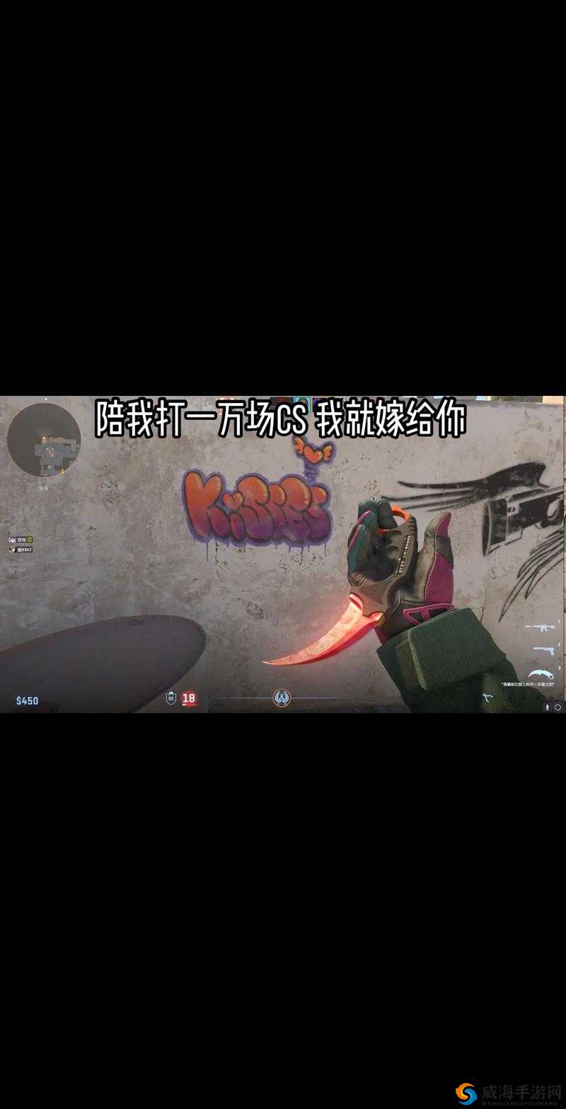 暴躁老妈CSGO比赛现场直播：惊险操作与爆笑瞬间全记录，网友直呼太真实