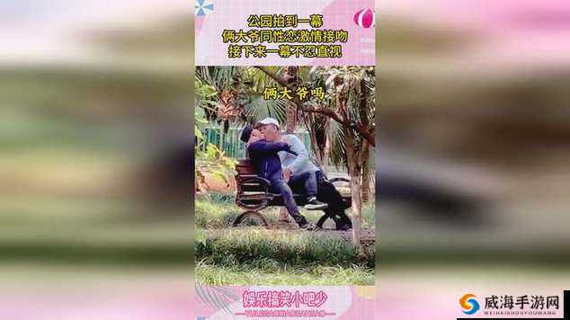 探索Chinese中老年GayHD群体的生活故事与情感世界，了解他们的真实心声与挑战