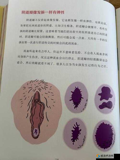 探索神秘生物：美女的乳孔触手产卵现象及其背后的科学解释与网络热议