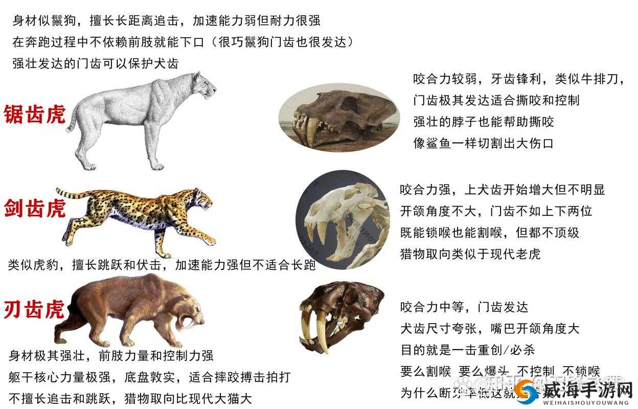 龙之谷手游剑齿虎怎么样 剑齿虎技能属性图鉴的演变史专题