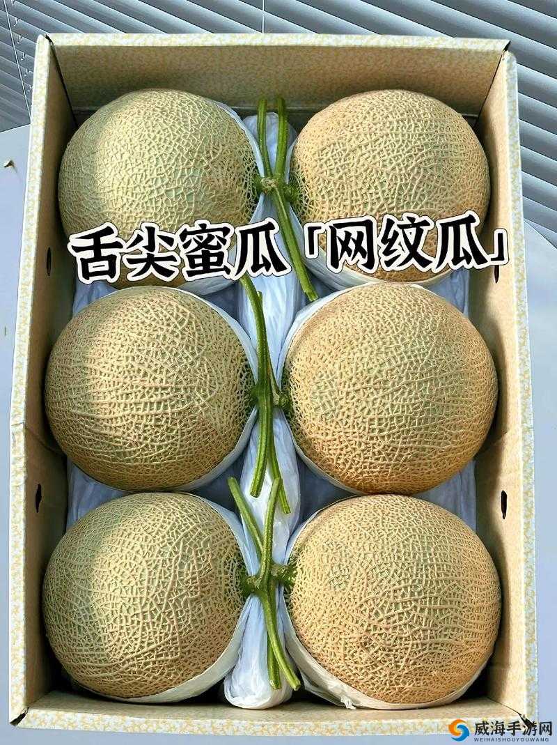 91 吃瓜网有哪些热门瓜可吃?关于 91 吃瓜网的那些精彩内容探秘91 吃瓜网都有哪些新奇瓜点等你来发现?深度挖掘 91 吃瓜网的瓜情世界91 吃瓜网究竟藏着哪些令人好奇的瓜呢?全面解析 91 吃瓜网的瓜料情况