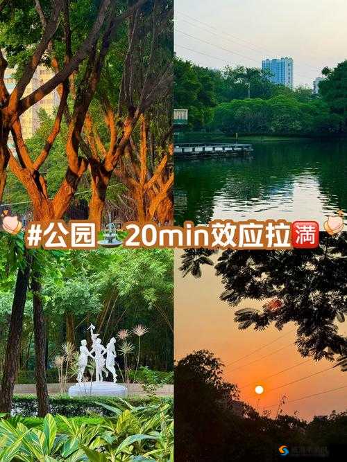 公园户外直播实况：探秘城市绿肺，感受自然与科技的完美融合，解锁户外直播新体验