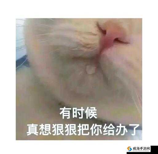 男生专用表情包大放送，你想要的都在这里