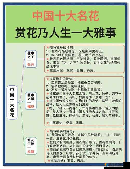 如何看待业余摘花行为？它在中国是否被认可？
