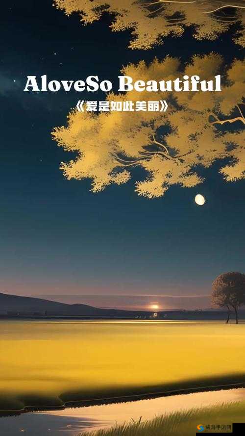 欧美最经典爱情视频歌曲有哪些?快来一起欣赏这些动人心弦的旋律