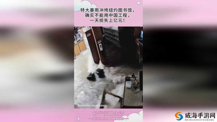 仙踪林xzl合集呦剐蹭是怎么回事?深入探究仙踪林xzl合集背后的故事