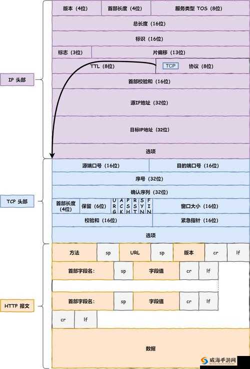 t66t最新IP地址10天前更新,如何快速获取并确保稳定访问?详细教程与技巧分享