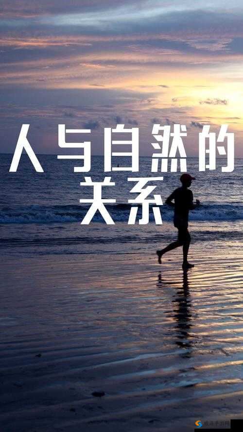 日本人与禽ZOZZO视频引发热议：探讨人与自然和谐共处的全新视角与深度解读