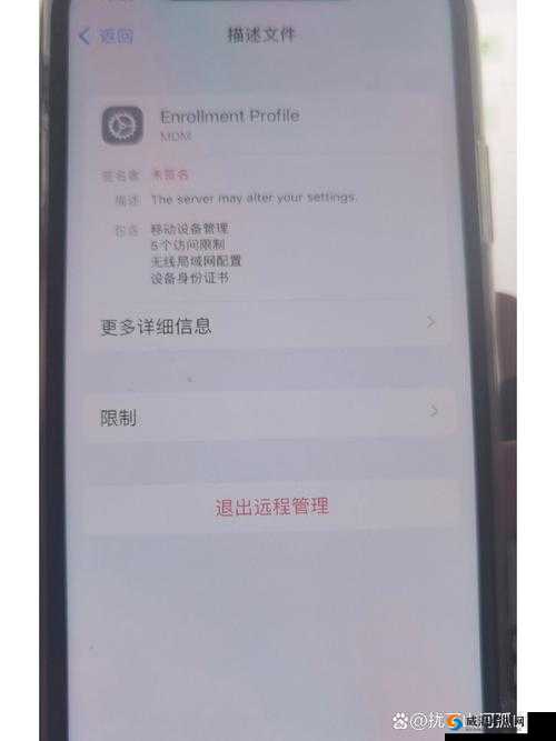 MDMC 官网究竟有何独特之处？探索 MDMC 官网背后的精彩世界与特色