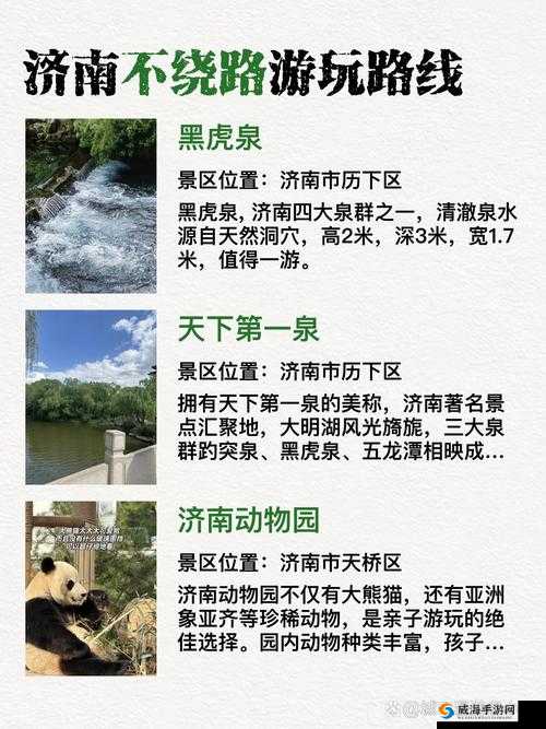济南市中扫搡BBBB揉BBBB是什么意思？引发众人好奇与探讨