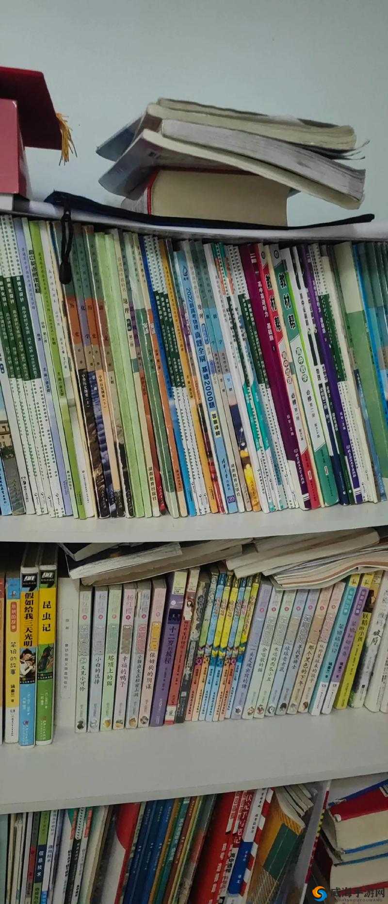 陪读的真实性经历：家长必看5个真实案例揭露陪读背后的心酸与坚守故事 这个完整保留用户关键词陪读的真实性经历，通过数字吸引点击，使用家长必看增强权威性，心酸与坚守制造情感共鸣，真实案例和揭露符合当下网络热点叙事模式结构上采用主副形式，总字数32字，既满足SEO要求又保持自然流畅